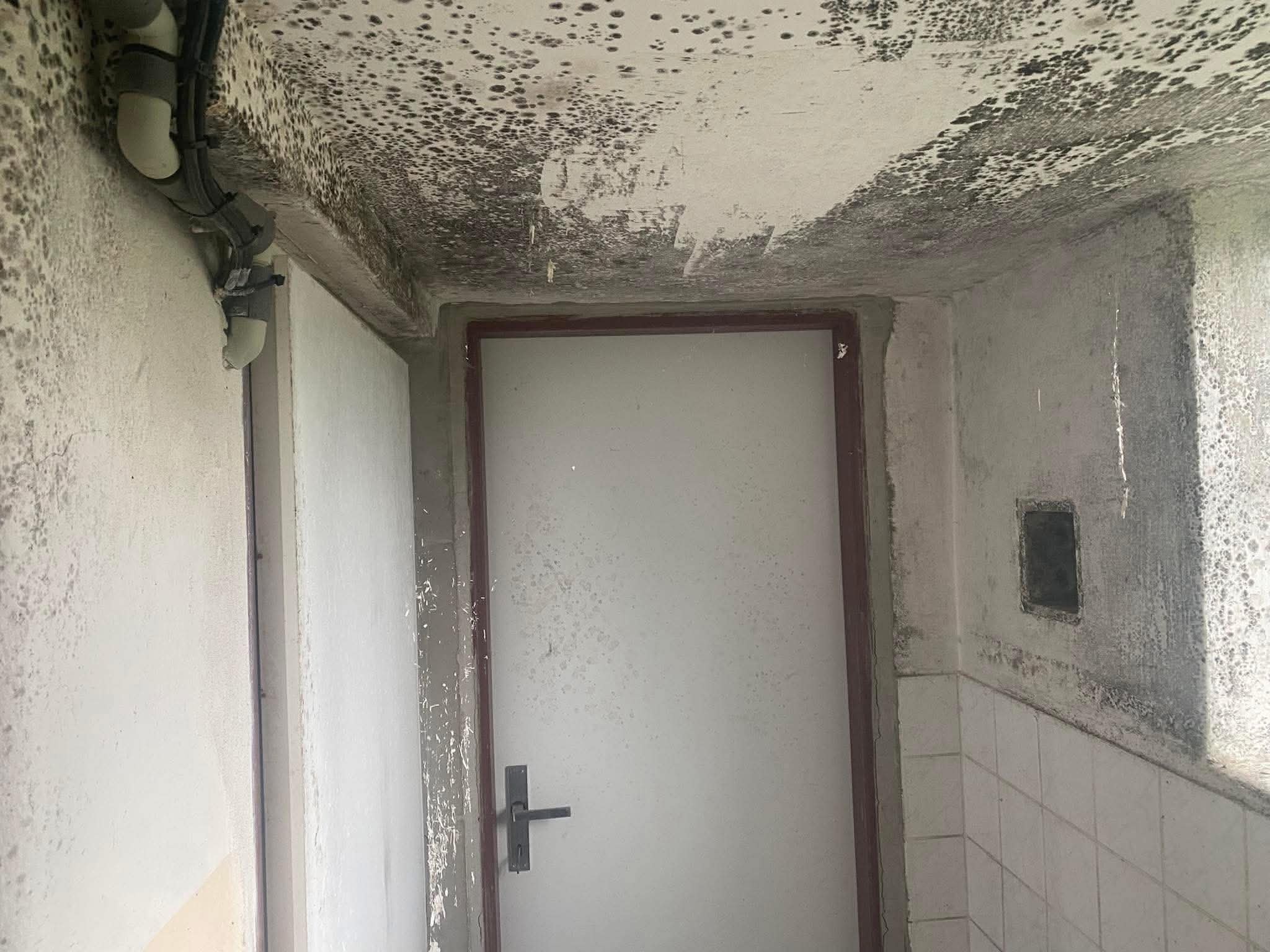Stěny před renovací